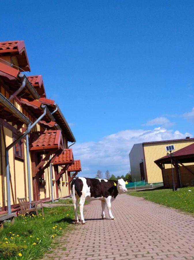 Pensjonat Przy Stajni Kierzkowo  Eksteriør billede